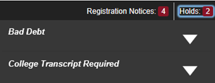 Screenshot of View Active Holds details.