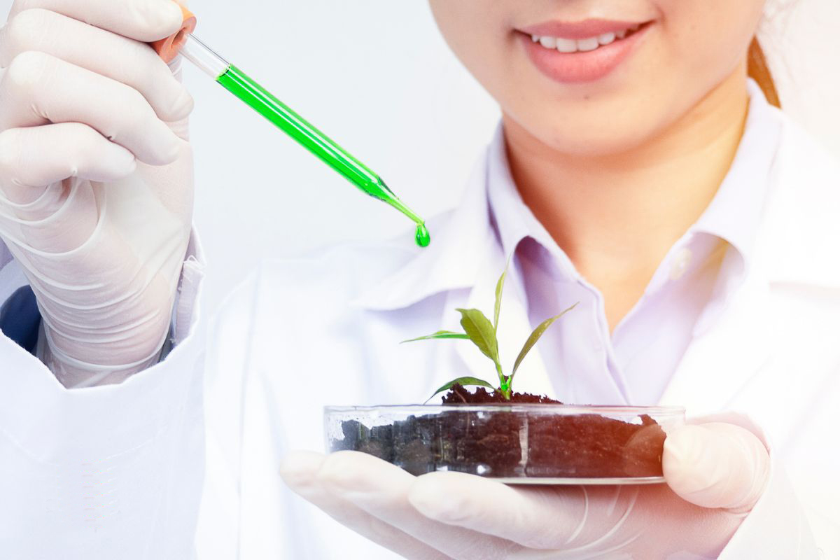 Advance Laboratory Practices (Certificate)