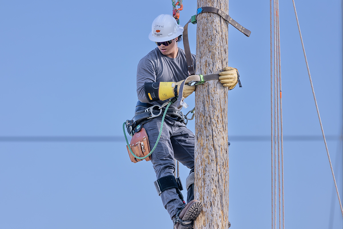 Power Transmission & Distribution (AAS)